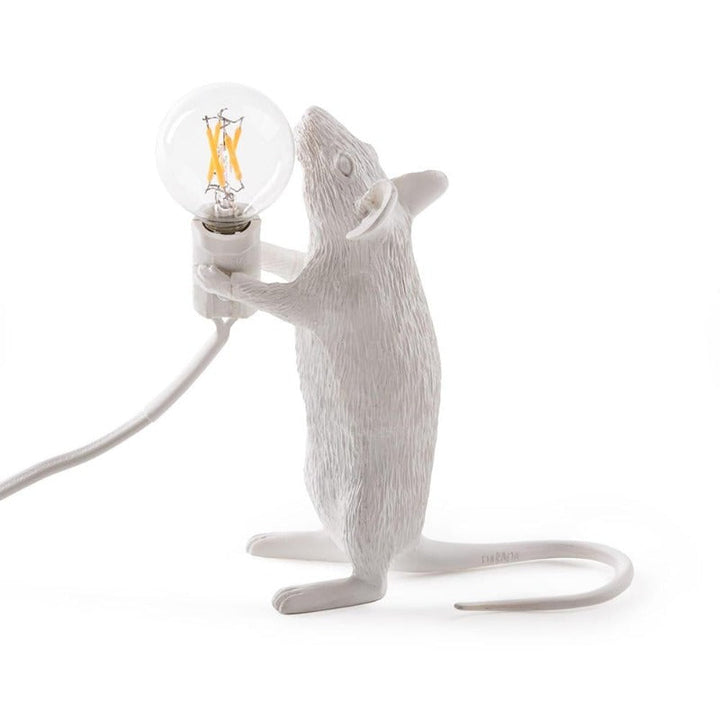 Stornfield | Elegant Home Lamp