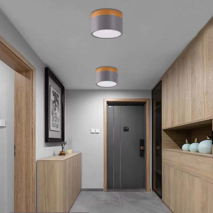 Morandi Style Modern LED Ceiling Lamp - LumiModo | Stornfield