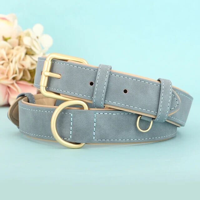 Stornfield Pup Collar