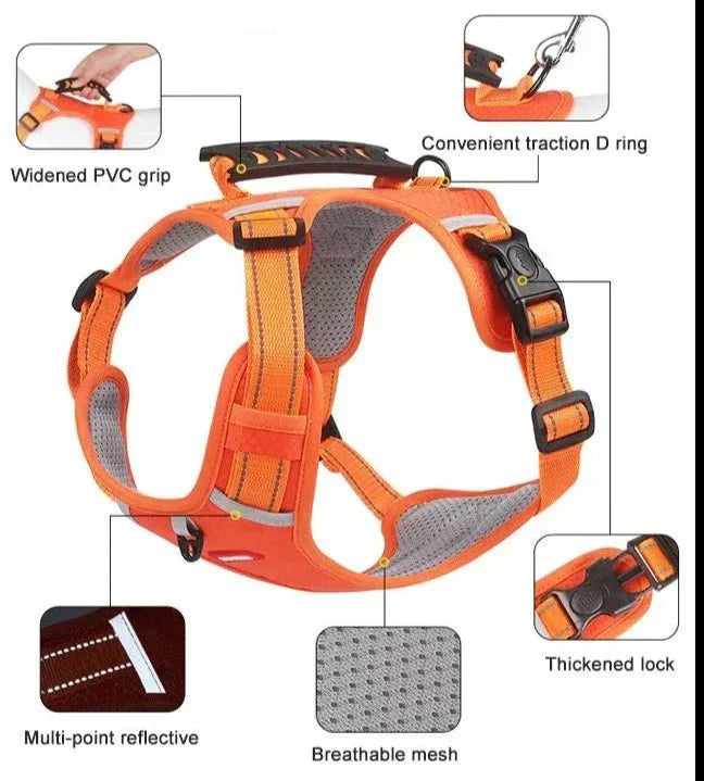 DogGrip Walk safely with your dog | Stornfield