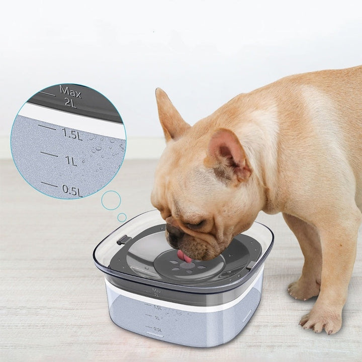 70oz leak-proof dog water bottle with visible water level | Stornfield