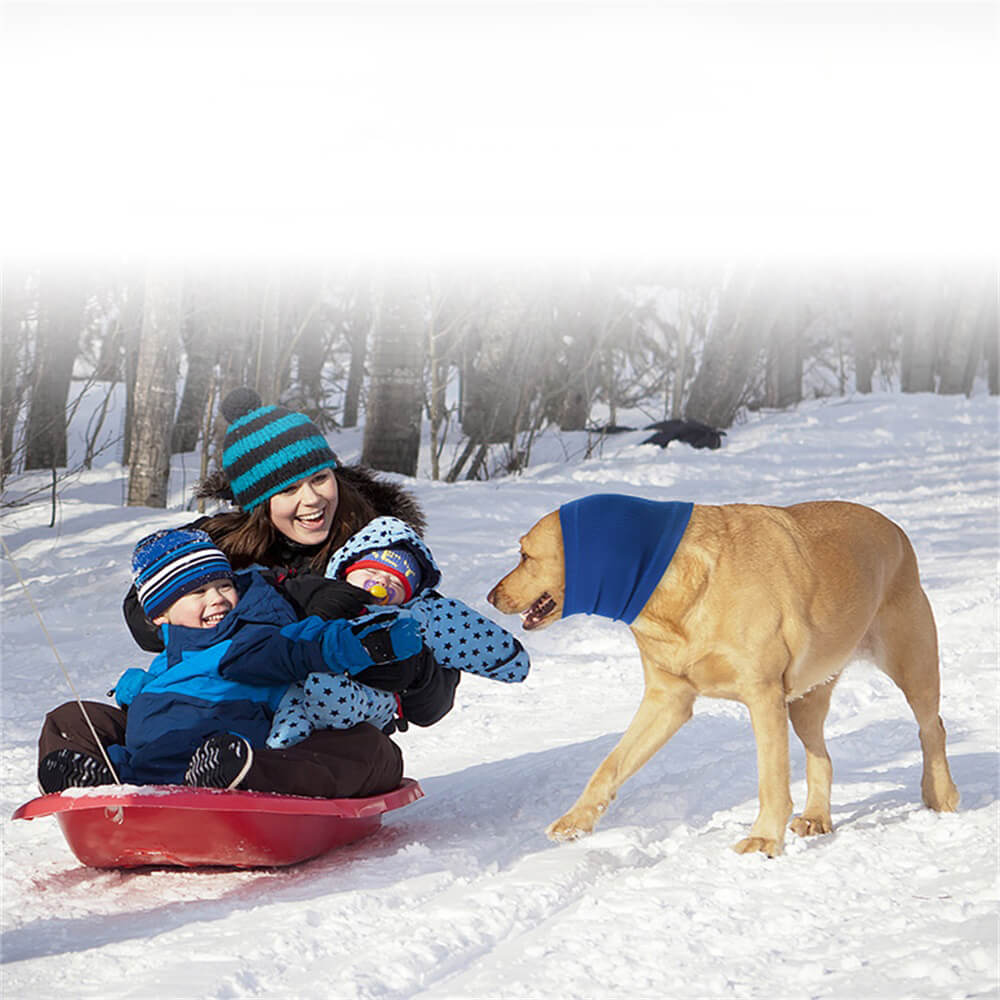 Stornfield | Pet Products Dog Calming Headband