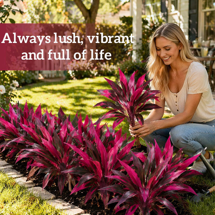 VerdoGlow — Vibrant freshness without effort that will transform your home forever | Stornfield