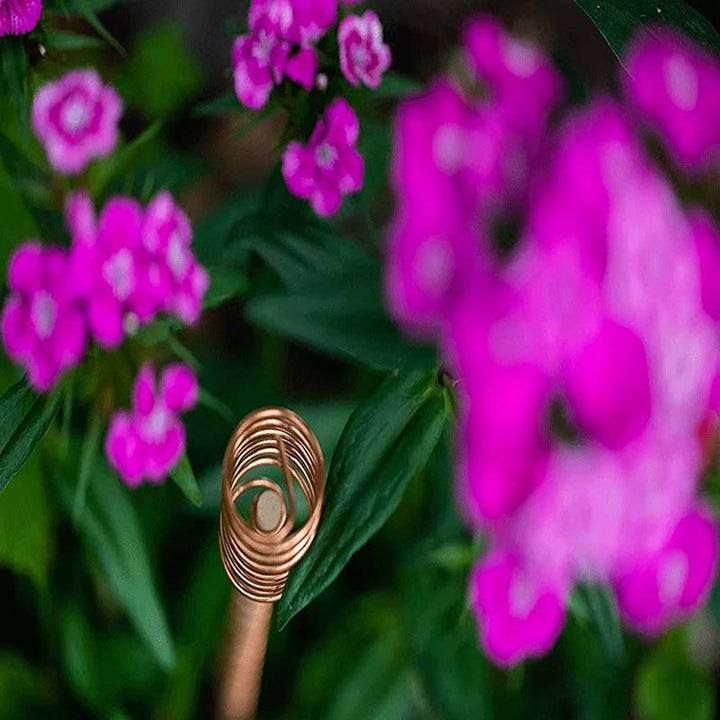 Copper plant stakes 30 cm | Stornfield