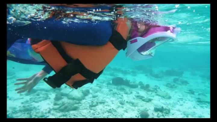 Full-face snorkel mask with 180° visibility | Stornfield