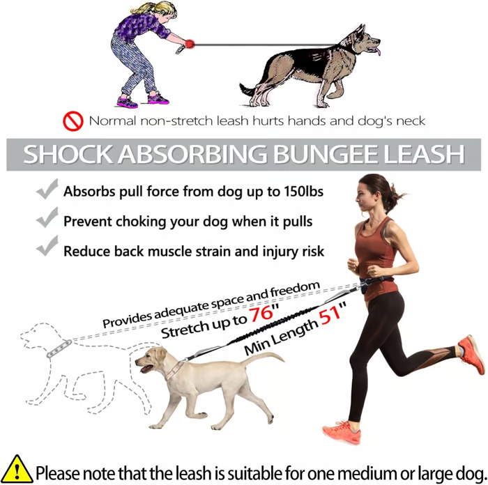 FlowLeash — Experience gentle control and relaxed walks without jerks! | Stornfield