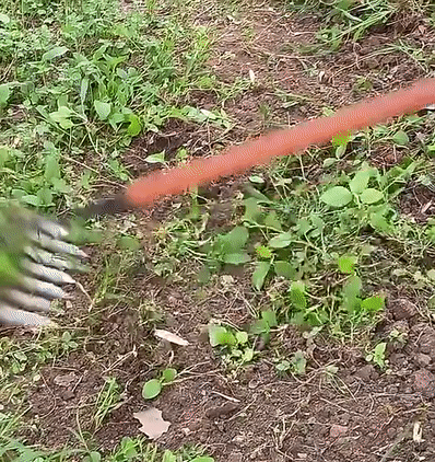 TuinGrijp Carbon Steel Weeding Rake for Garden Maintenance | Stornfield