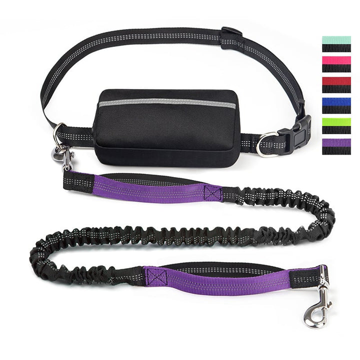 FlowLeash — Experience gentle control and relaxed walks without jerks! | Stornfield