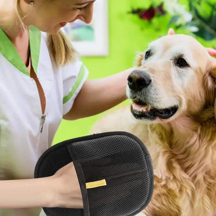 SilkPaw — Transforms annoying fur care into loving cuddle time | Stornfield