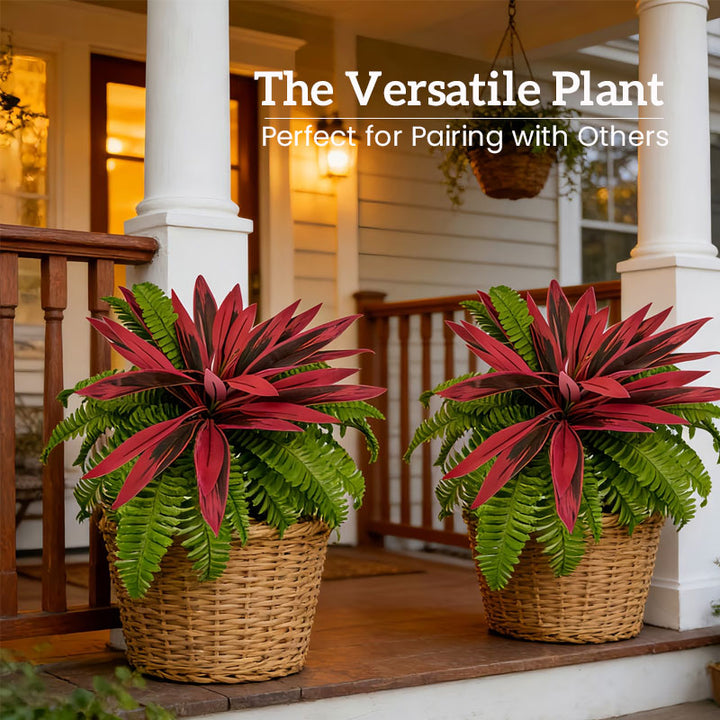 VerdoGlow — Vibrant freshness without effort that will transform your home forever | Stornfield