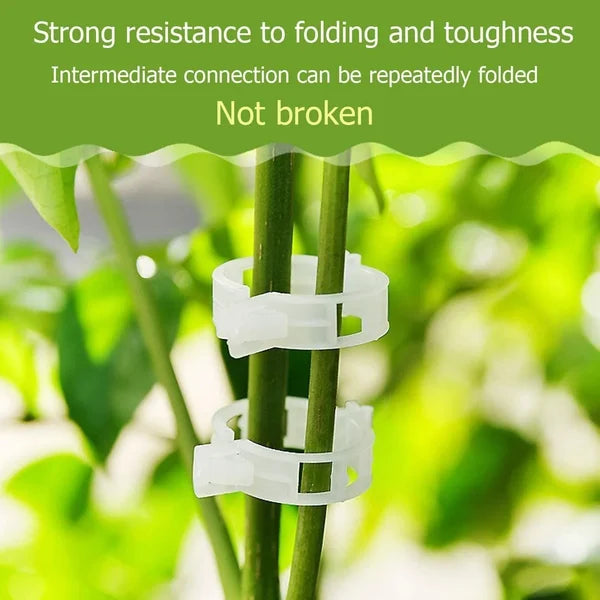 GripKing Clips — Keep your plants strong and discover effortless, healthy growth! | Stornfield