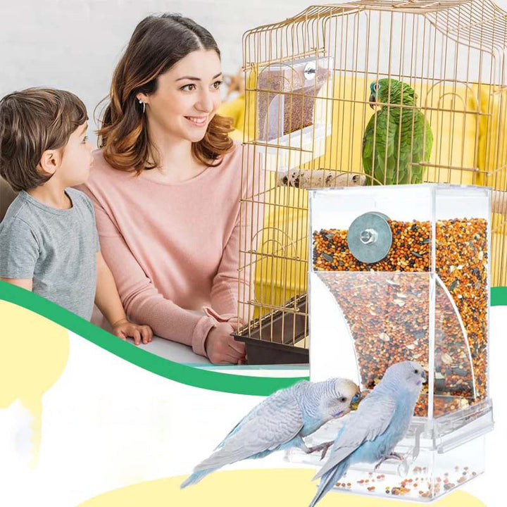 Automatic overflow protection Transparent bird feeder | Stornfield