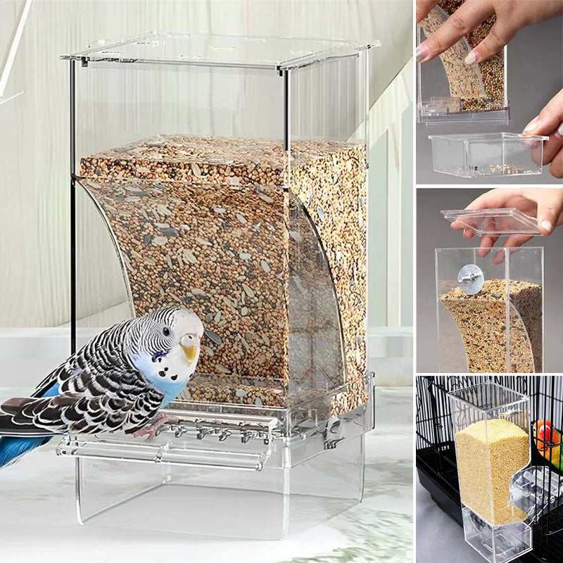 Automatic overflow protection Transparent bird feeder | Stornfield