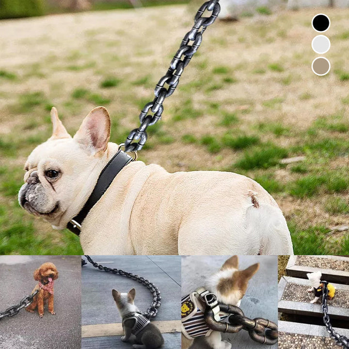 Funny dog leash | Stornfield