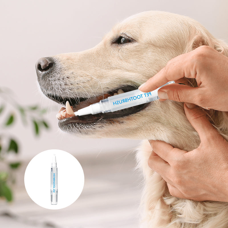 New improved toothbrush pen for pets | Stornfield