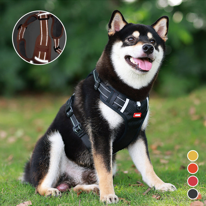 Reflective Dog Harness | Stornfield