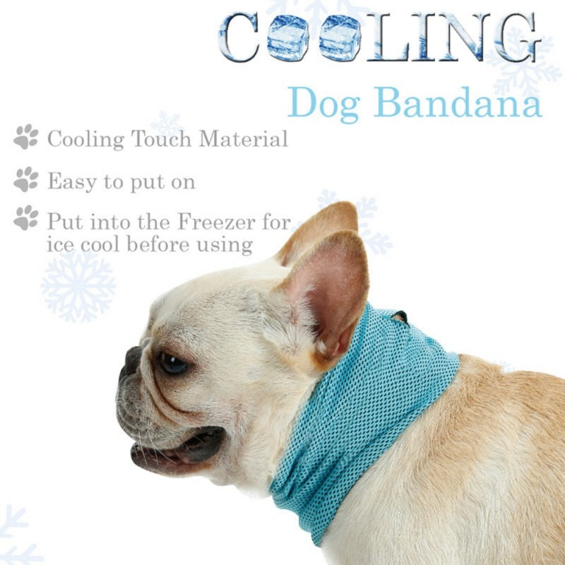 Cooling Bandana (CS15) | Stornfield
