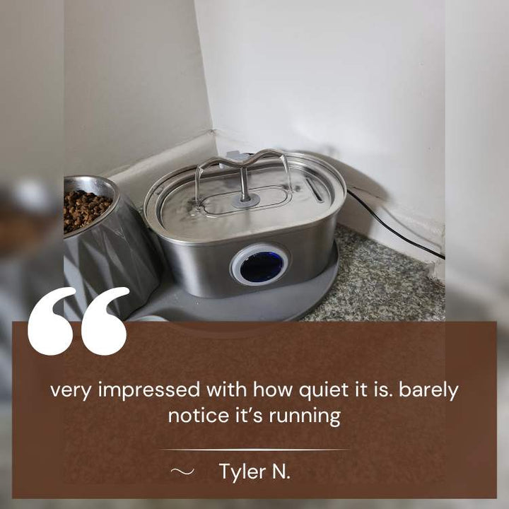 Cats Water Fountain made of Stainless Steel – Quiet, Hygienic and BPA-free – 2L Capacity | Stornfield