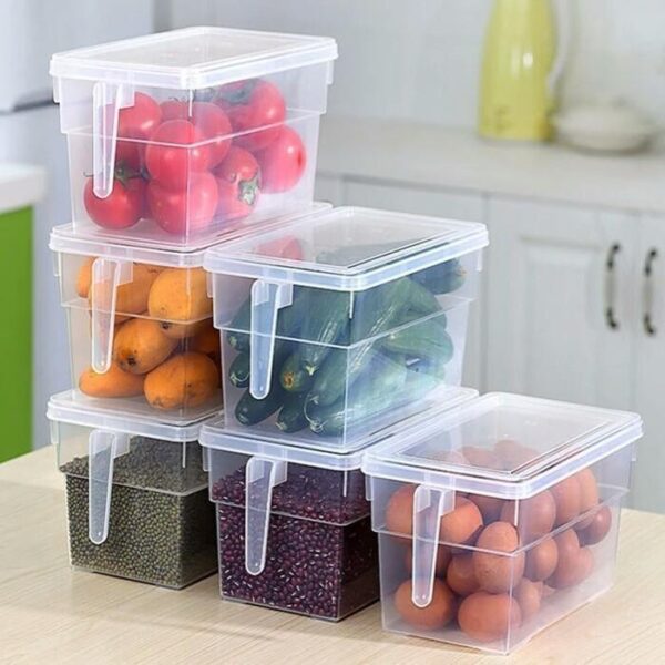 Storage Freezer Box with Handle Stornfield