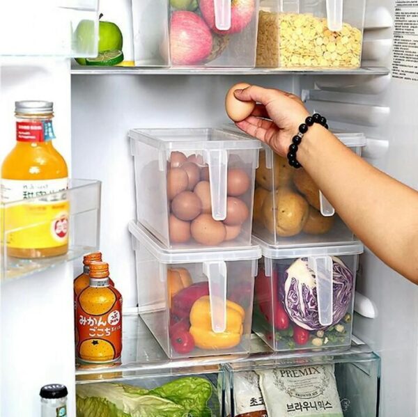 Storage Freezer Box with Handle Stornfield