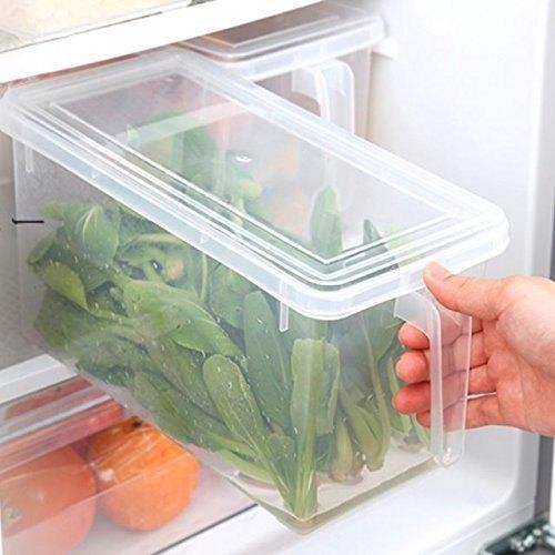 Storage Freezer Box with Handle Stornfield
