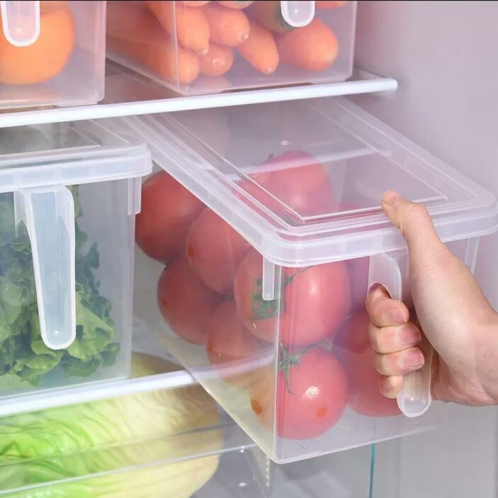 Storage Freezer Box with Handle Stornfield