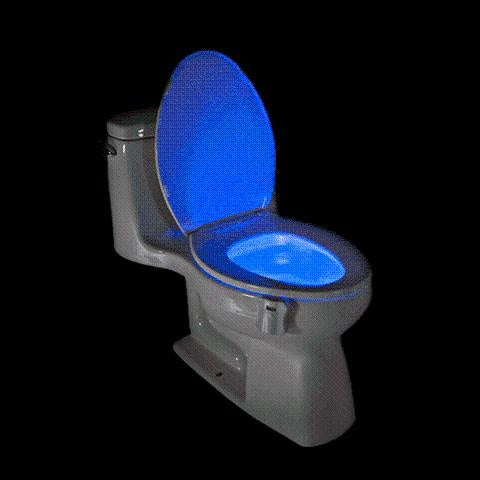 Motion Activated Disco Toilet Bowl Light | Stornfield
