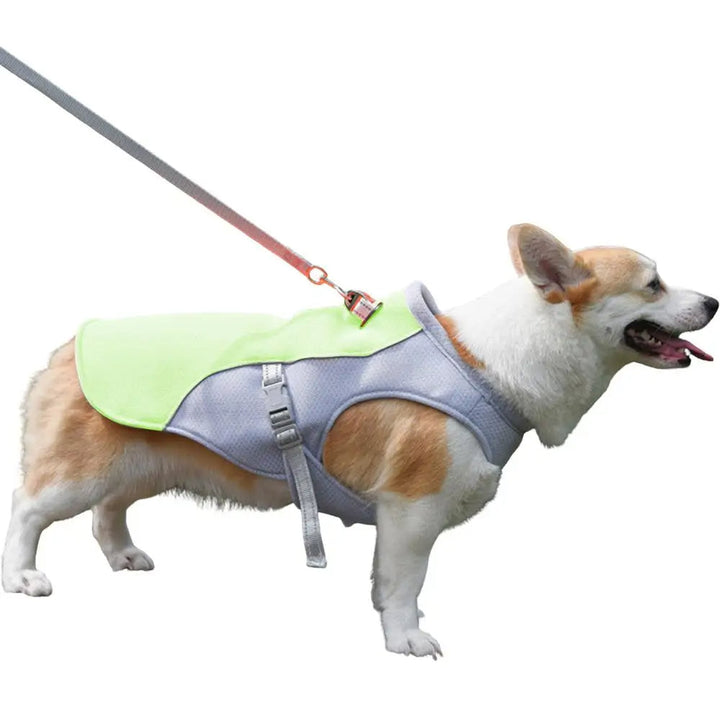 Dog Cooling Vest for Outdoor Activities | Stornfield
