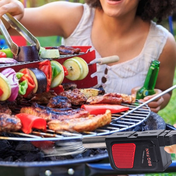 Handheld Electricity BBQ Fan Portable Cooking Fan for Outdoor BBQ | Stornfield