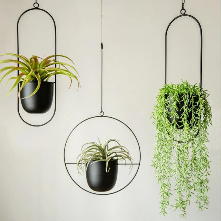 HaloRing Hanging Plant Holder – Metal Hanging Planter for Indoor and Outdoor | Stornfield