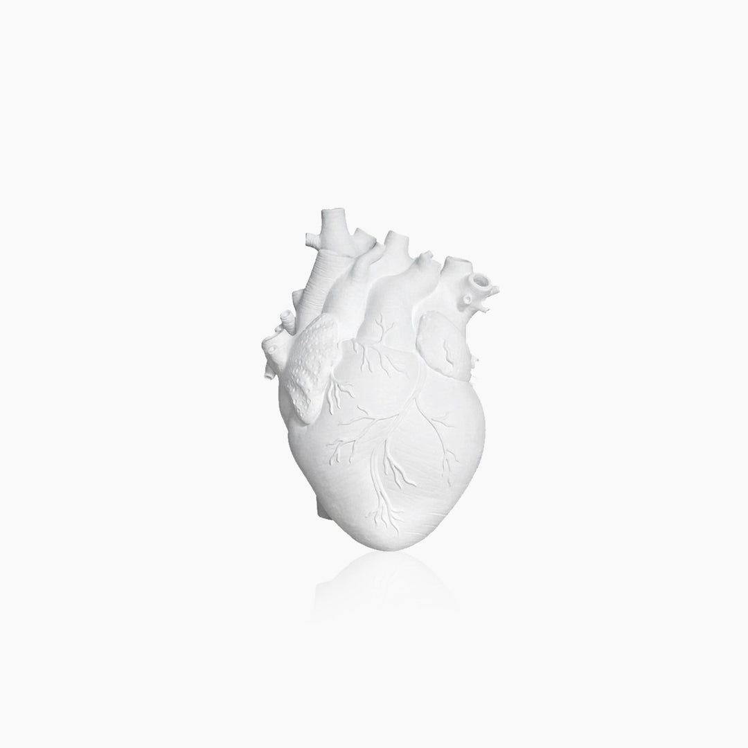 Stornfield | Heart-Shaped Artificial Dried Plant Vase
