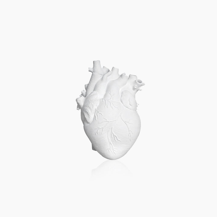 Stornfield | Heart-Shaped Artificial Dried Plant Vase