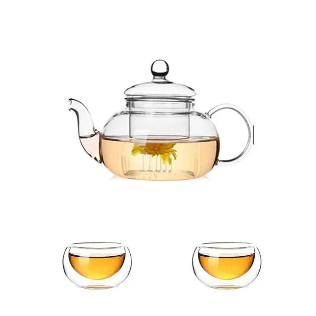 Heat Resistant Glass Tea Pot Glass Teapot with Infuser Tea Pot Set | Stornfield