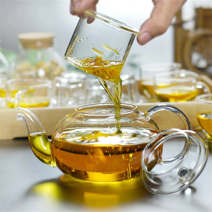 Heat Resistant Glass Tea Pot Glass Teapot with Infuser Tea Pot Set | Stornfield