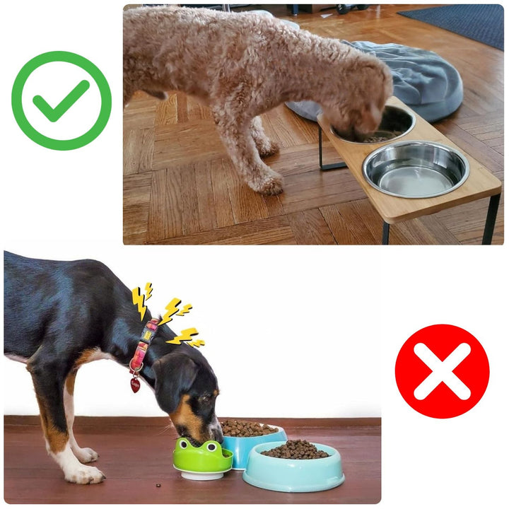 Elevated dog bowl – bamboo stand with removable stainless steel bowl | Stornfield