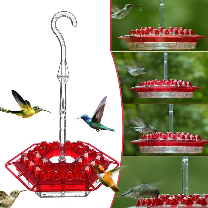Stornfield | Hummingbird Feeder With Perch And Built-in Ant Moat