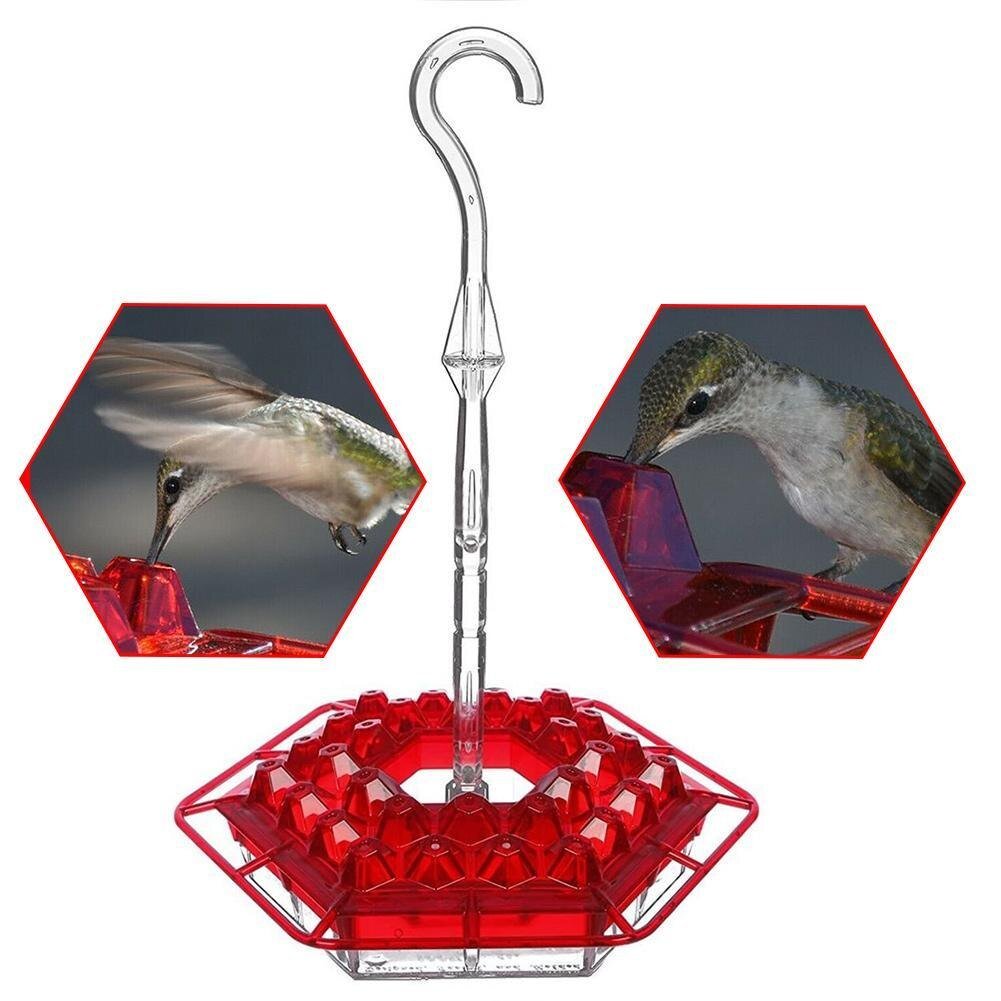 Stornfield | Hummingbird Feeder With Perch And Built-in Ant Moat