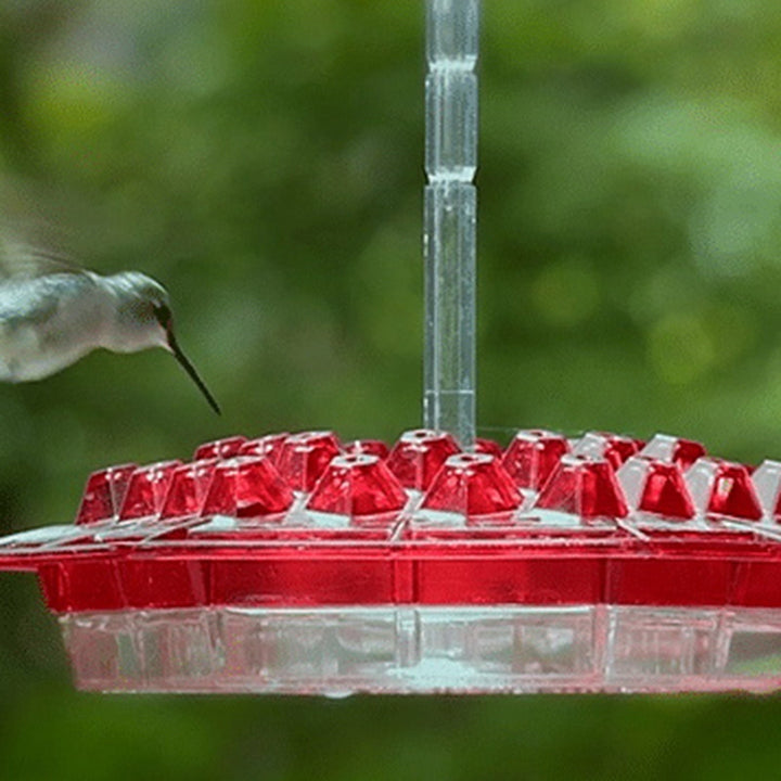 Stornfield | Hummingbird Feeder With Perch And Built-in Ant Moat