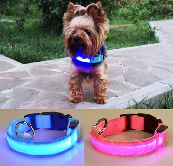 Dog collar with LED light | Stornfield