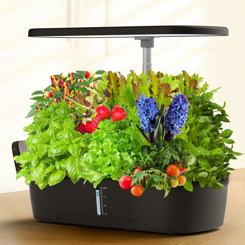 Innovative Hydroponic Growing System – 12 Pods Kit | Stornfield