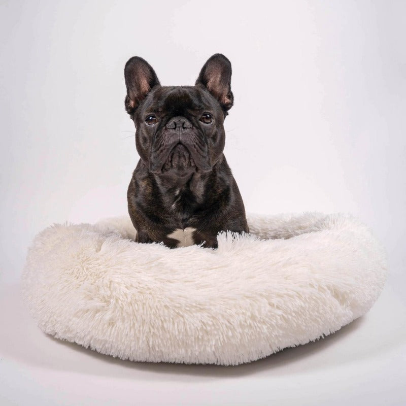 Stornfield | Donut Lit pour Chien en Peluche Calmant pour Chiens Petit à Grand