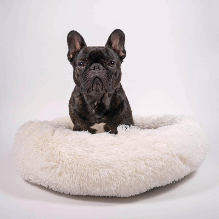 Stornfield | Donut Lit pour Chien en Peluche Calmant pour Chiens Petit à Grand