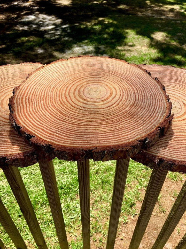 Natural Wood Slice Coasters | Stornfield