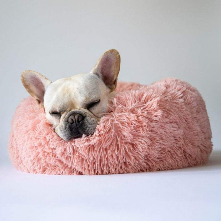 Stornfield | Donut Lit pour Chien en Peluche Calmant pour Chiens Petit à Grand
