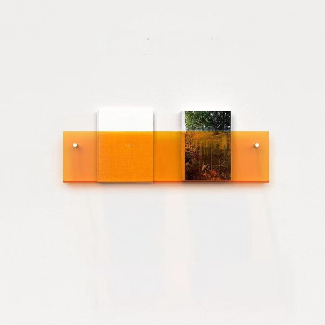 Stornfield | Wall Shelf Clear Acrylic Magazine Holder