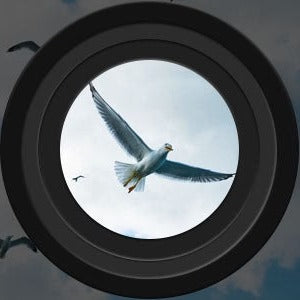 Stornfield | Long Range Night Vision Binoculars