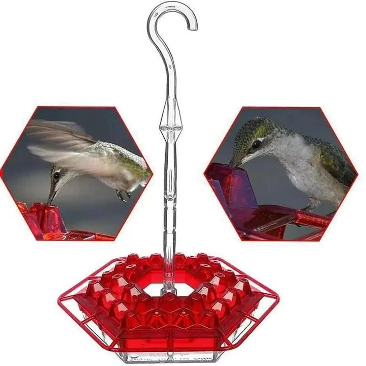 Stornfield | Ant Proof Hummingbird Feeder, Outdoor Hanging Perch