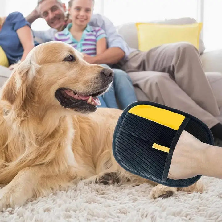 PurrBrush Care Glove – Hair-Free Pet Care and Massage Moment | Stornfield