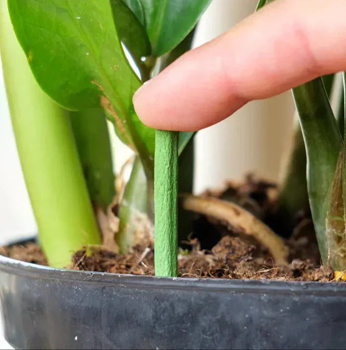 Stornfield Sustainable fertilizer for easy and long-lasting plant care