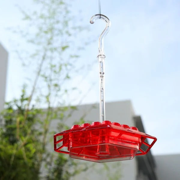 Stornfield | Hummingbird Feeder With Built-In Ant Moat